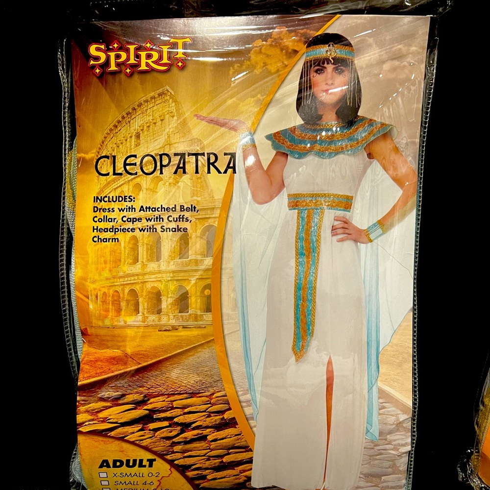 Cleopatra Costume size Large 12-14
